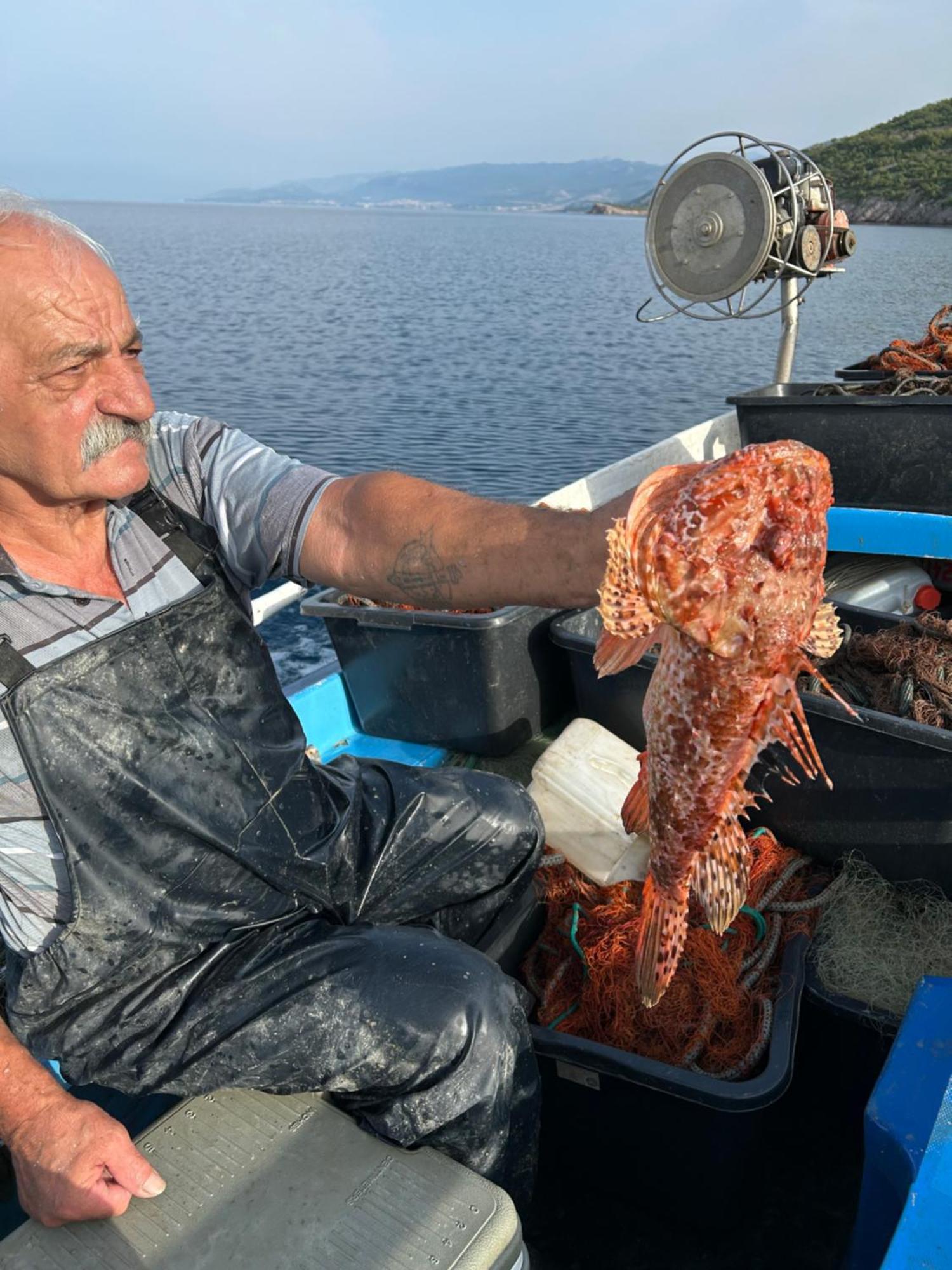 Villa Haus Niko Senj  Zewnętrze zdjęcie