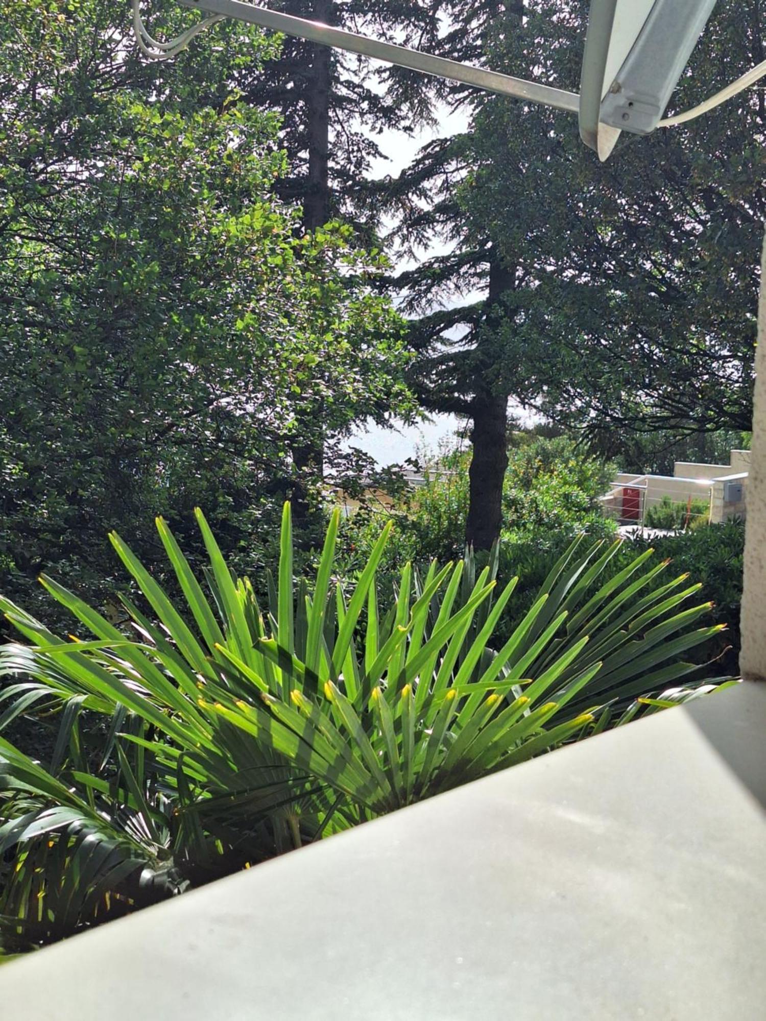Villa Haus Niko Senj  Zewnętrze zdjęcie